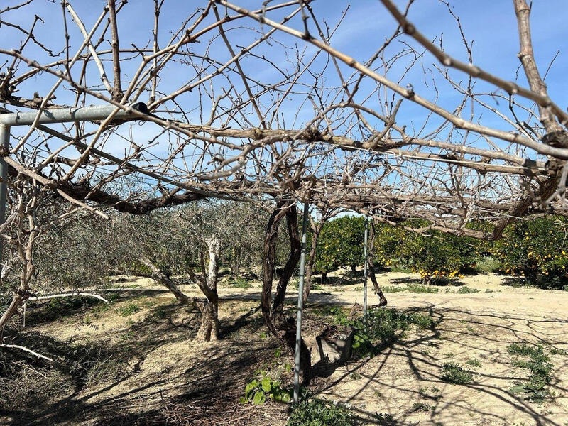 1 bedroom Country House for sale