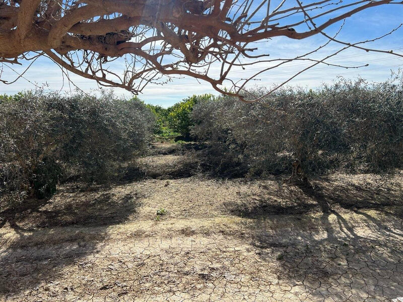 1 bedroom Country House for sale