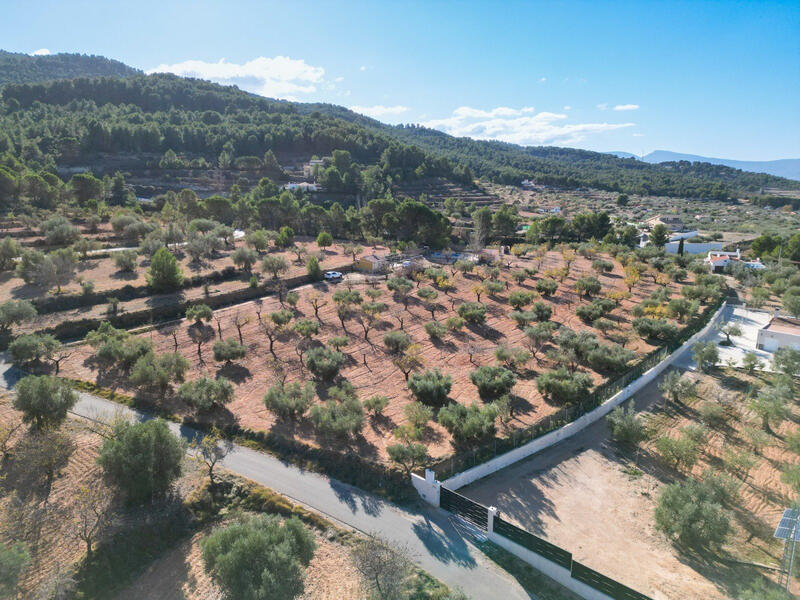 Land for sale Land for sale