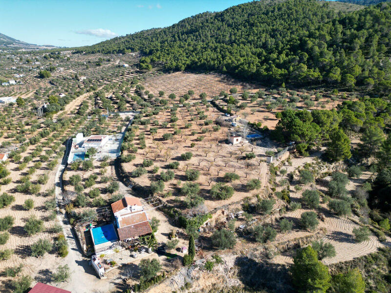 Land for sale Land for sale