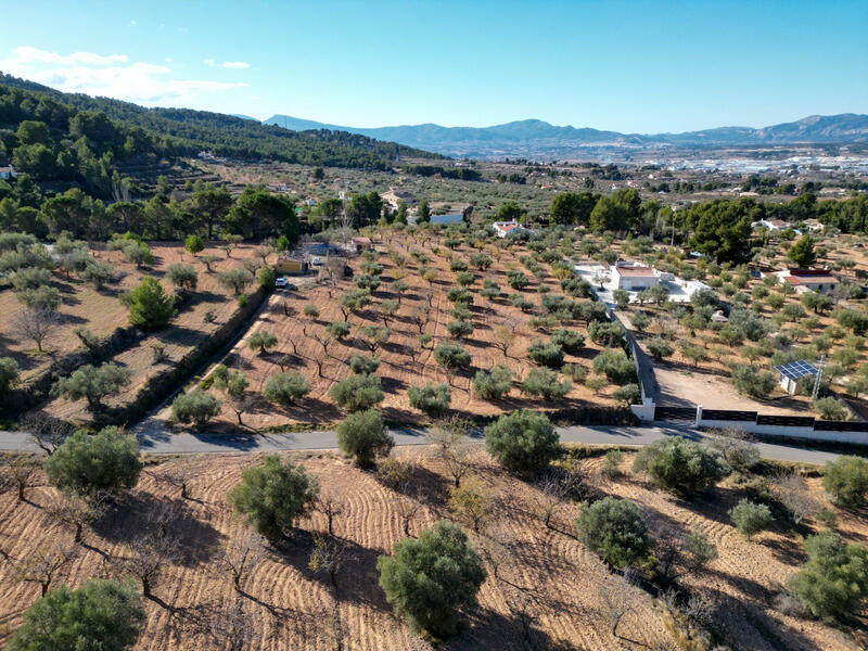 Land for sale Land for sale