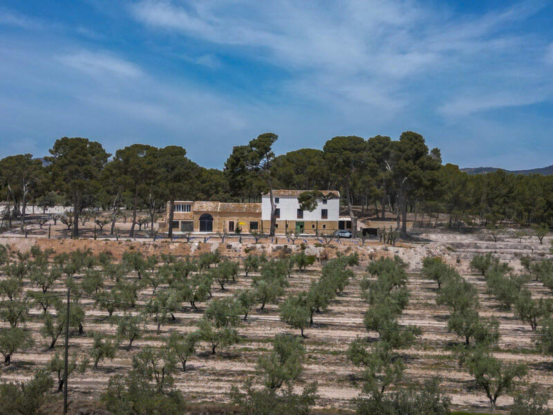 12 sovrum Övrig till salu