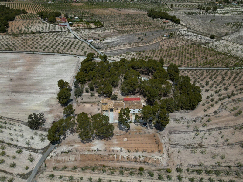 12 sovrum Övrig till salu