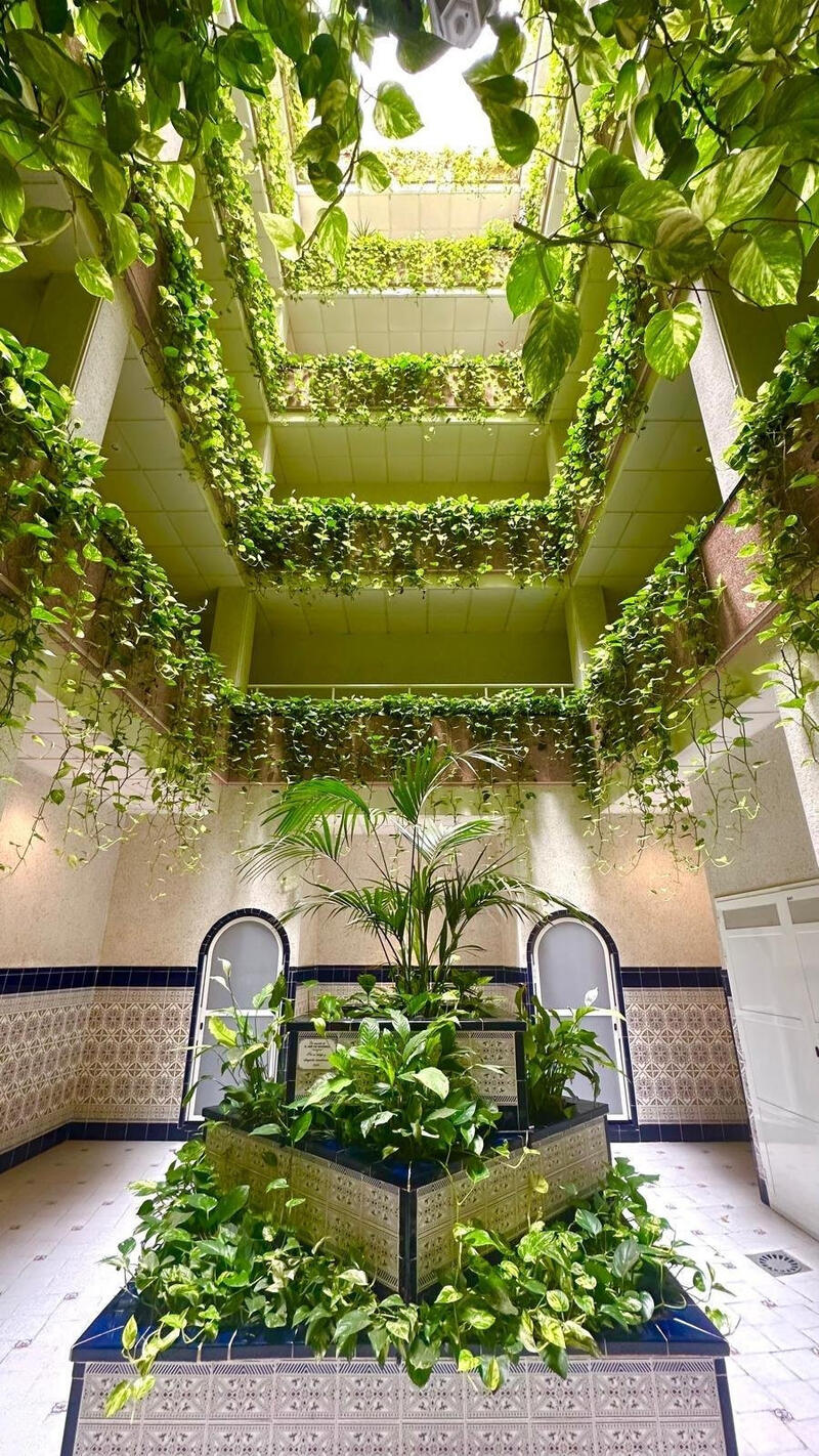 Lejlighed til salg i Torrevieja, Alicante