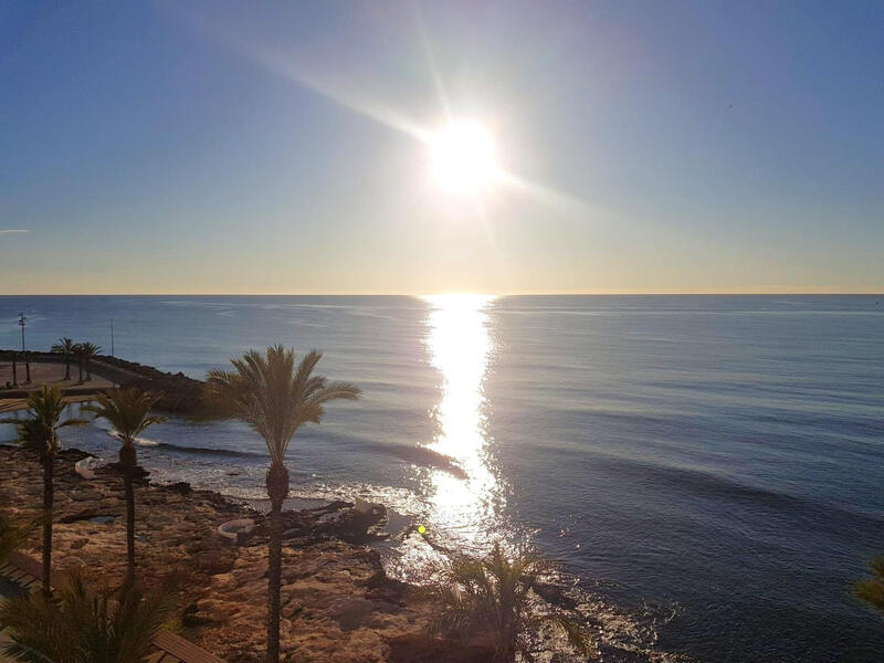 4 Schlafzimmer Appartement zu verkaufen