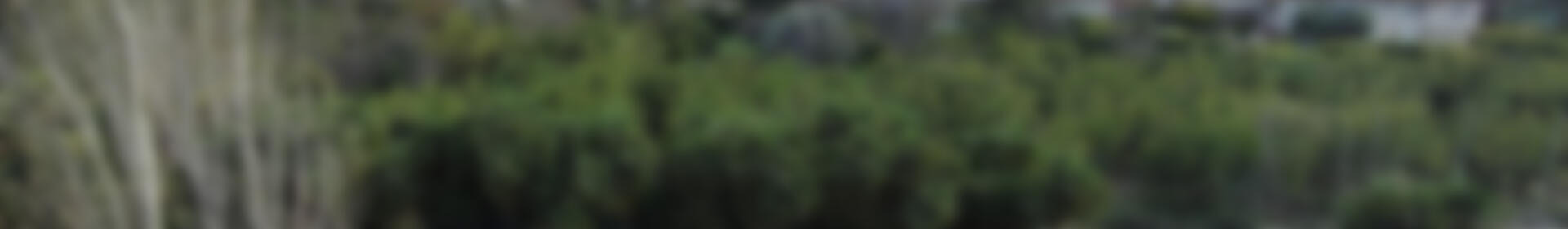 6 bedroom Country House for sale