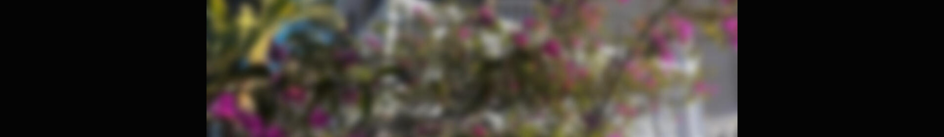 7 bedroom Villa for sale