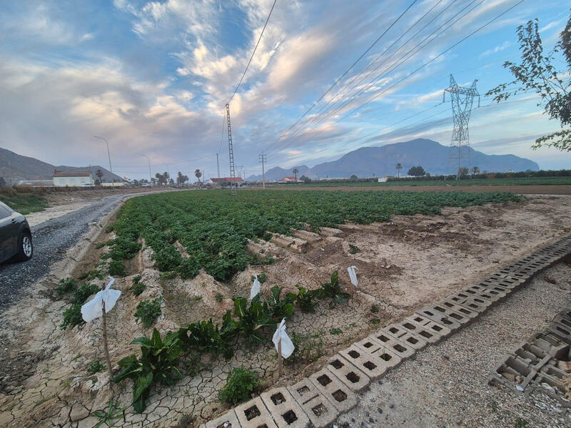 3 Schlafzimmer Landhaus zu verkaufen