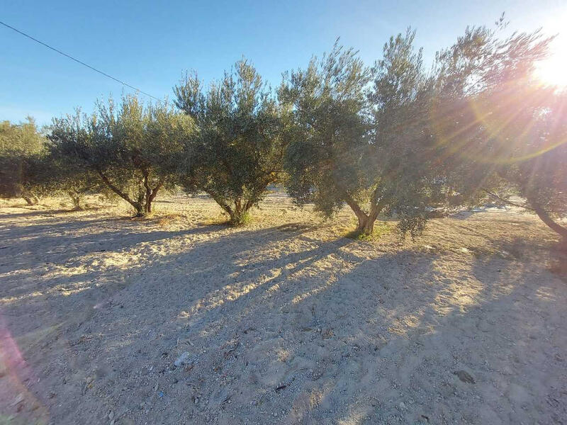 3 soveværelse Villa til salg