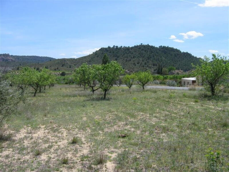 Land for sale in Calasparra, Murcia Land for sale in Calasparra, Murcia
