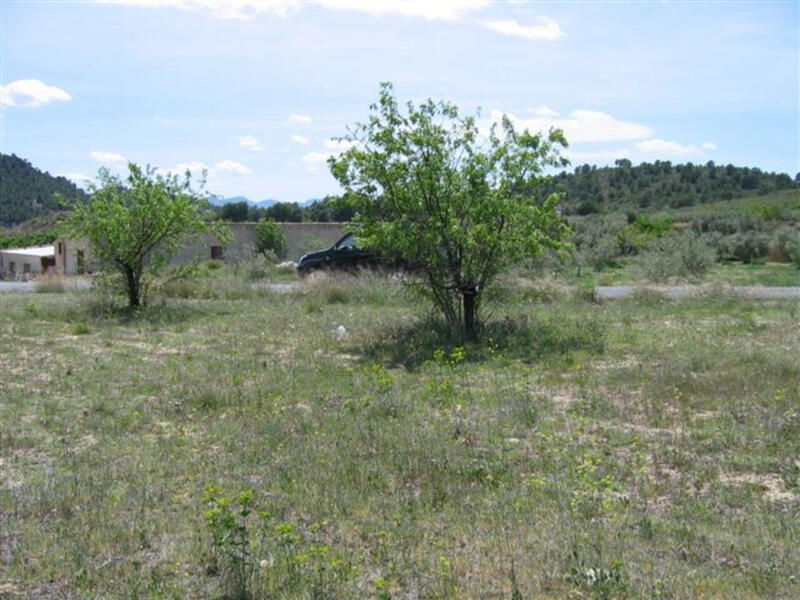 Land for sale