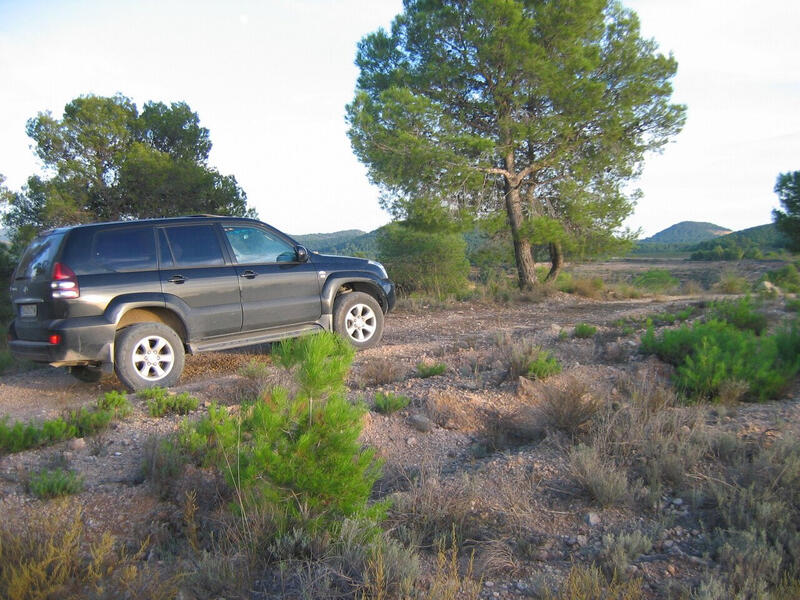 Land for sale in Murcia, Murcia Land for sale in Murcia, Murcia