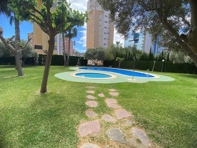 Appartement à vendre dans Guardamar del Segura, Alicante