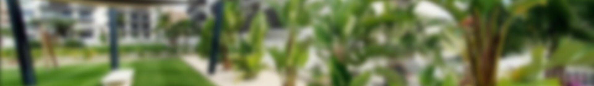 2 sovrum Lägenhet till salu