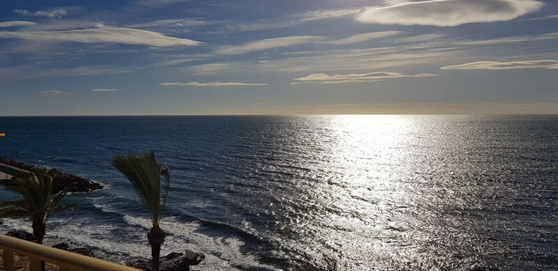 4 chambre Appartement à vendre