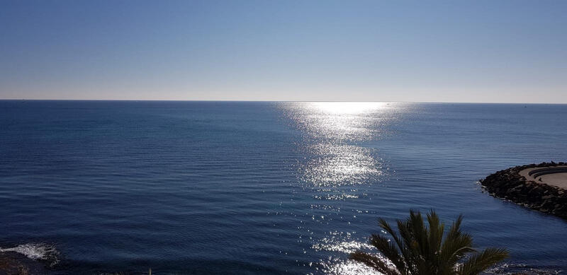 4 chambre Appartement à vendre