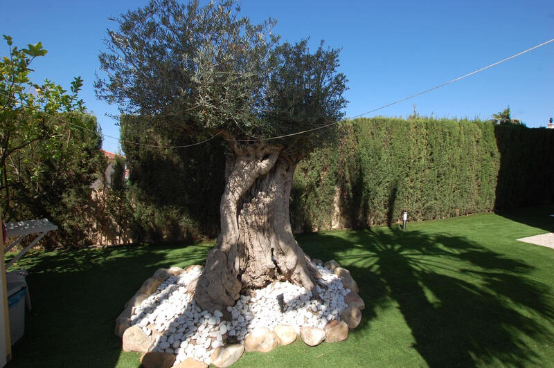 5 спальная комната вилла продается