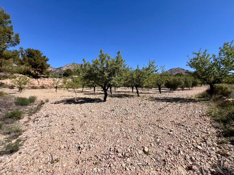 2 sovrum Lantställe till salu