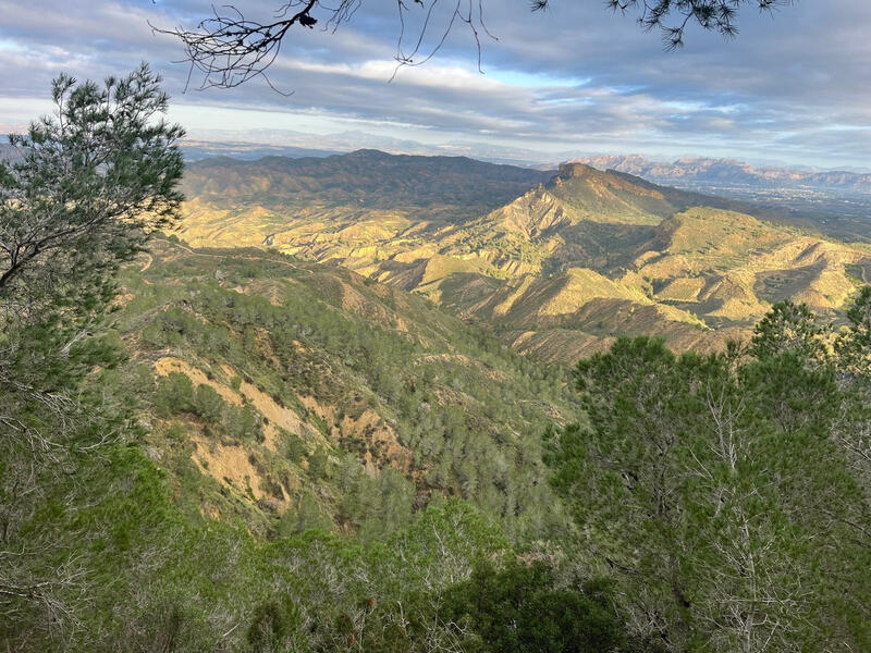3 soverom Herregård til salgs