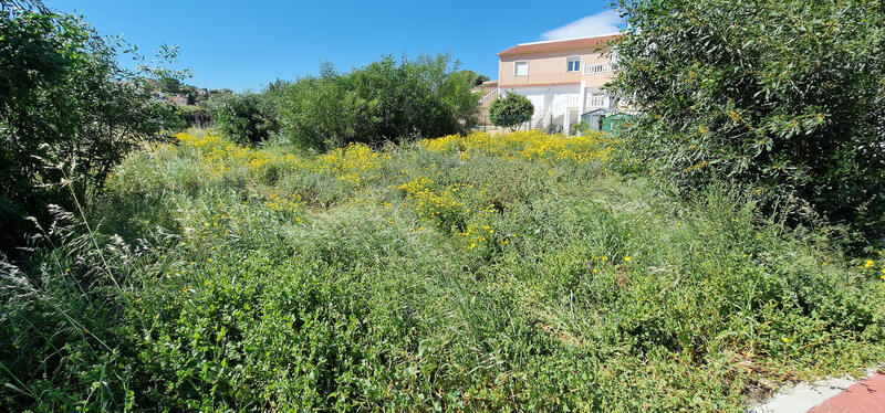Land for sale in Los Balcones, Alicante