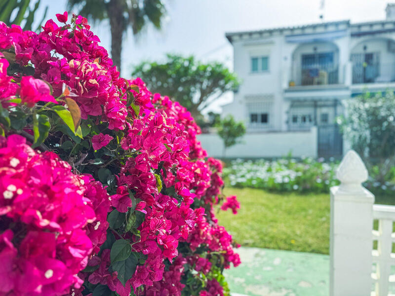 1 bedroom Villa for sale