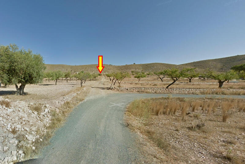 Land for sale in Hondon de las Nieves, Alicante