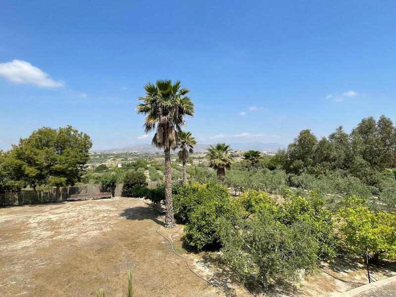 5 slaapkamer Villa Te koop