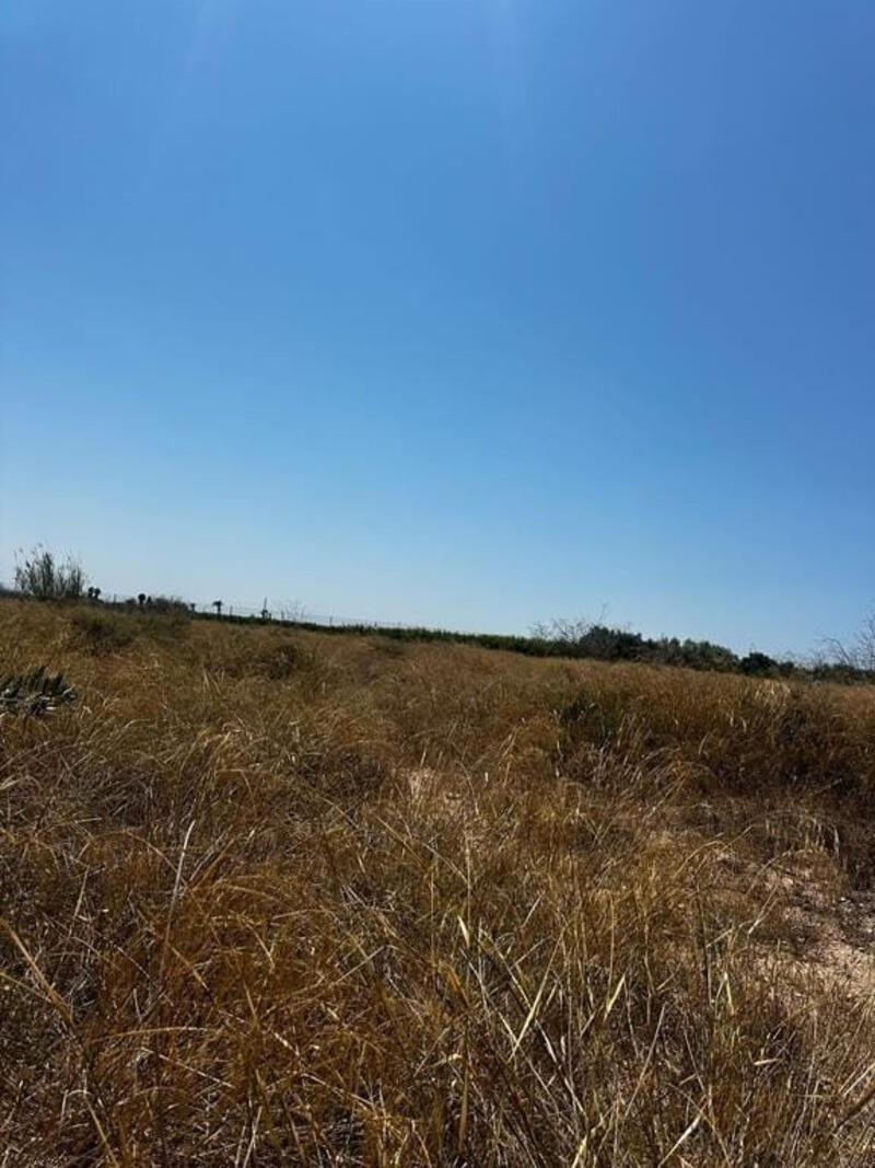 Terrain à vendre dans Elx/Elche, Alicante