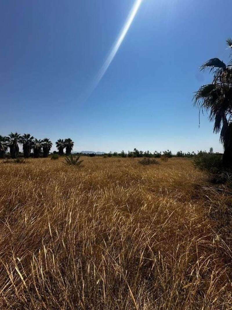 Terrenos en venta en Elx/Elche, Alicante