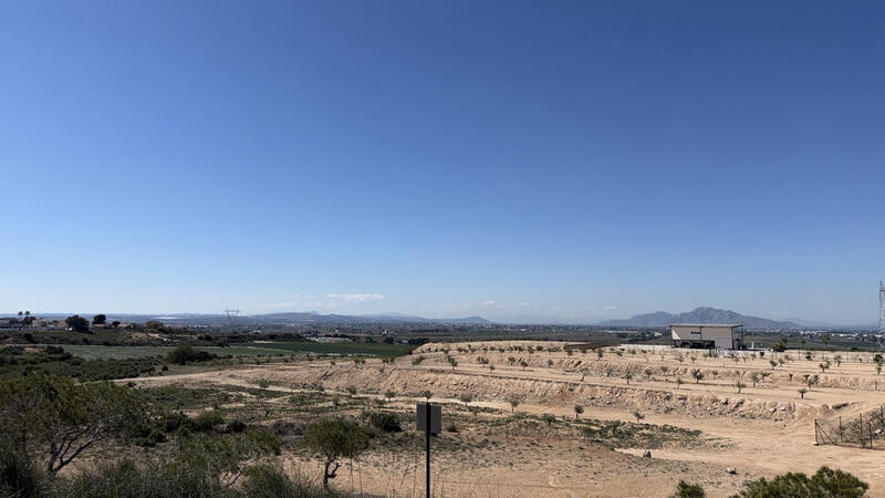 Land for sale in San Fulgencio, Alicante