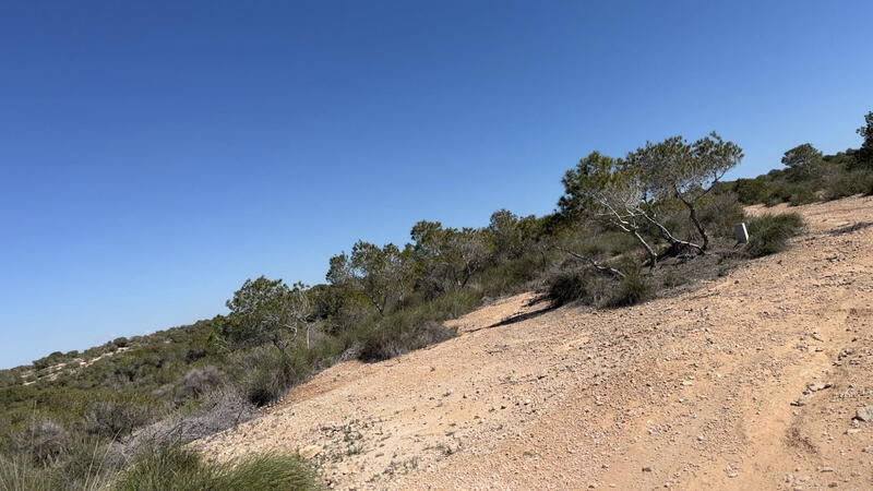 Land for sale Land for sale