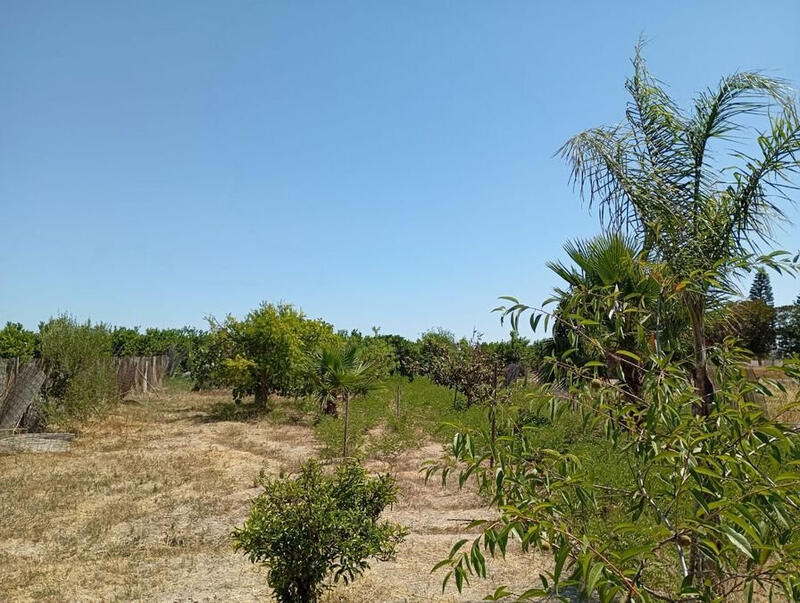 4 bedroom Country House for sale 4 bedroom Country House for sale