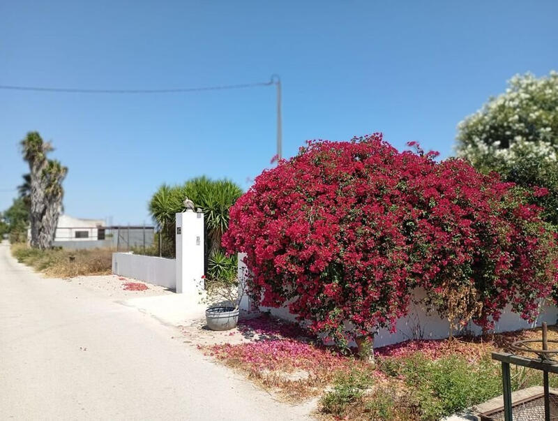 4 bedroom Country House for sale 4 bedroom Country House for sale