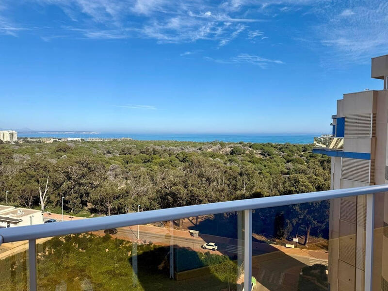 Appartement zu verkaufen in Guardamar del Segura, Alicante