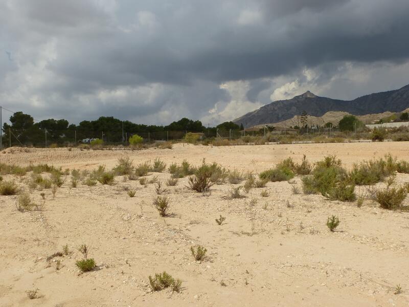 Land for sale in Crevillente, Alicante