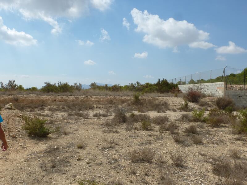 Land for sale