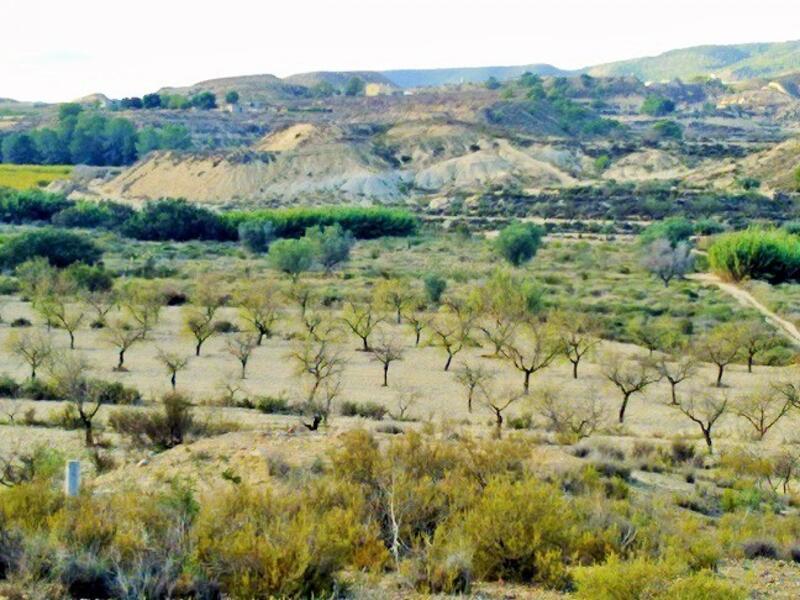 земля продается в Torremendo, Alicante