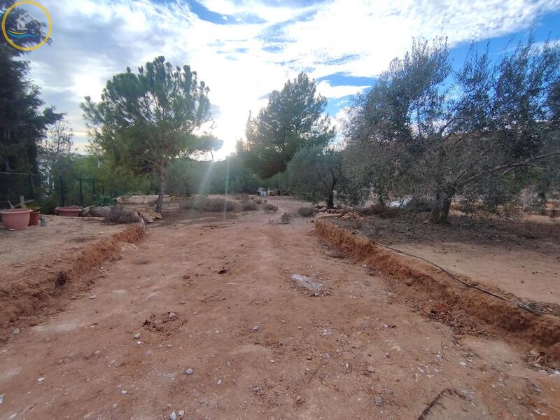 Land for sale in Pinar de Campoverde, Alicante