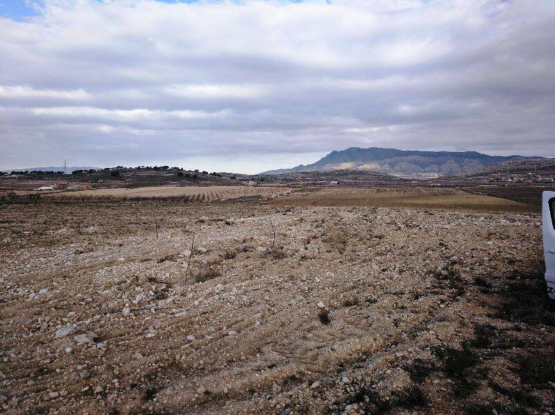 Terrenos en venta