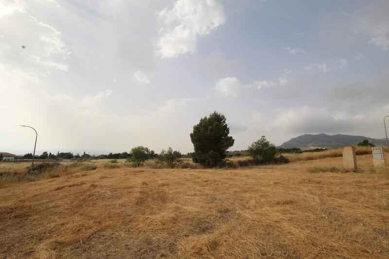 Land for sale