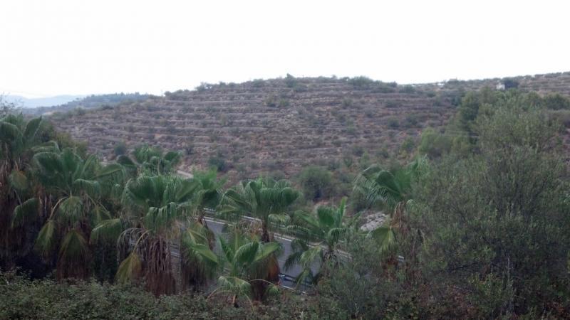 Land til salgs i Gandia, Vizcaya