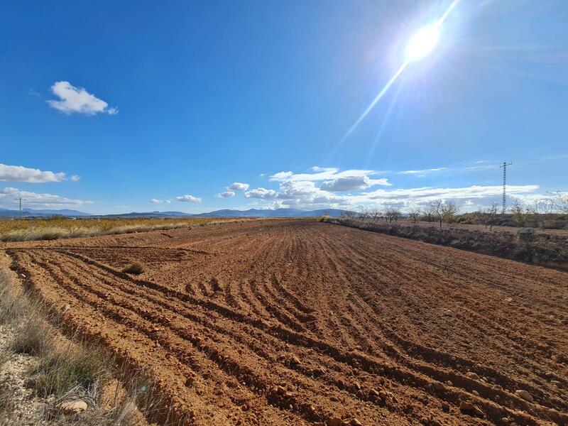 Terrenos en venta en Yecla, Murcia