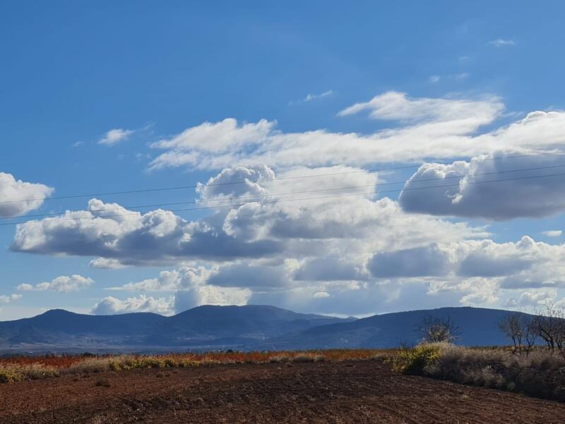 Terrenos en venta