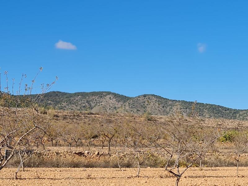 Terrenos en venta