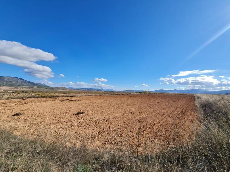 Terrenos en venta en Yecla, Murcia