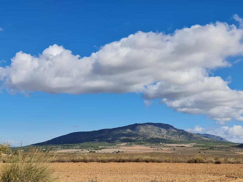 Terrain à vendre