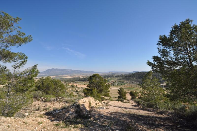 Land for sale in La Zarza, Murcia