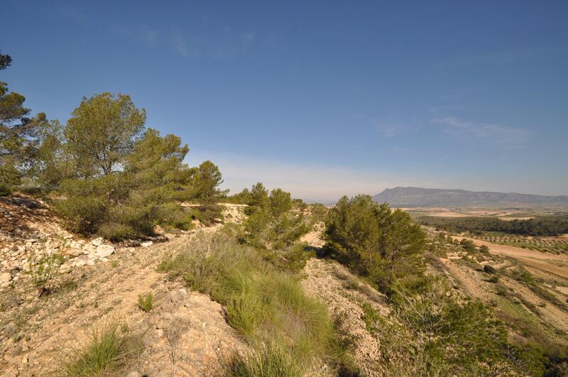 Terrain à vendre