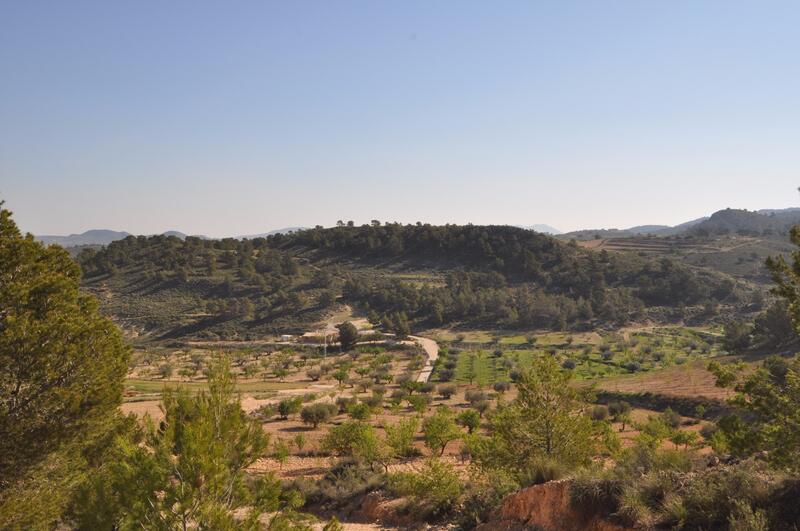 Terrain à vendre