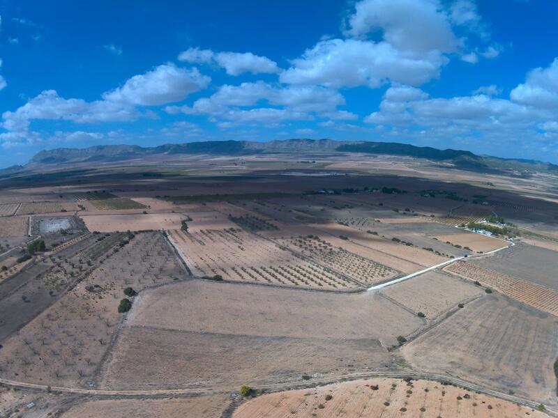 Land for sale in Yecla, Murcia
